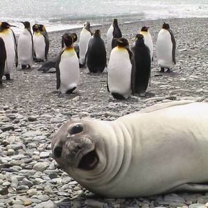 Meet your Posher, Christian